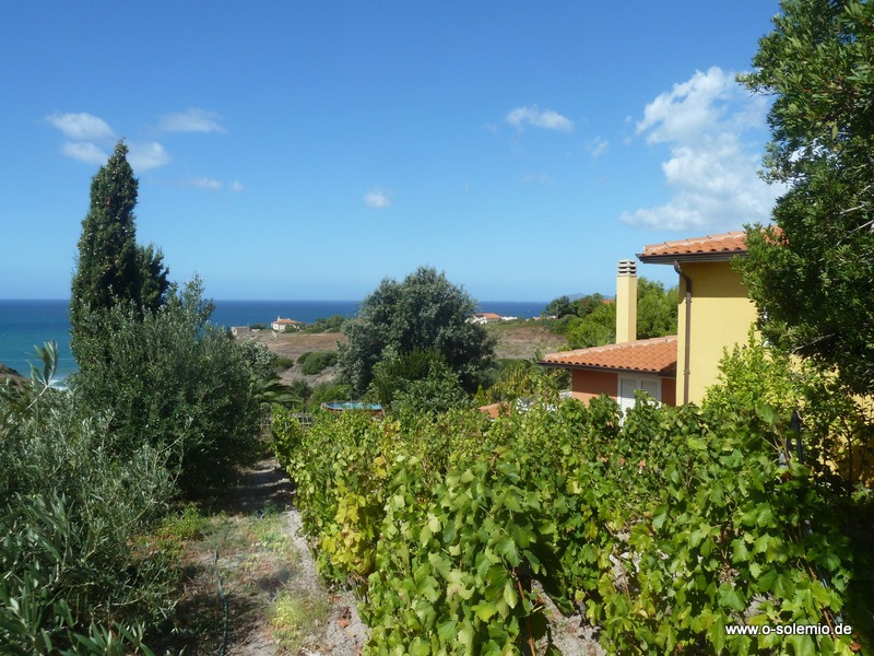 Ferienhaus in Sardinien, Landhaus Villa Nunzia, mit Pool und Meerblick
